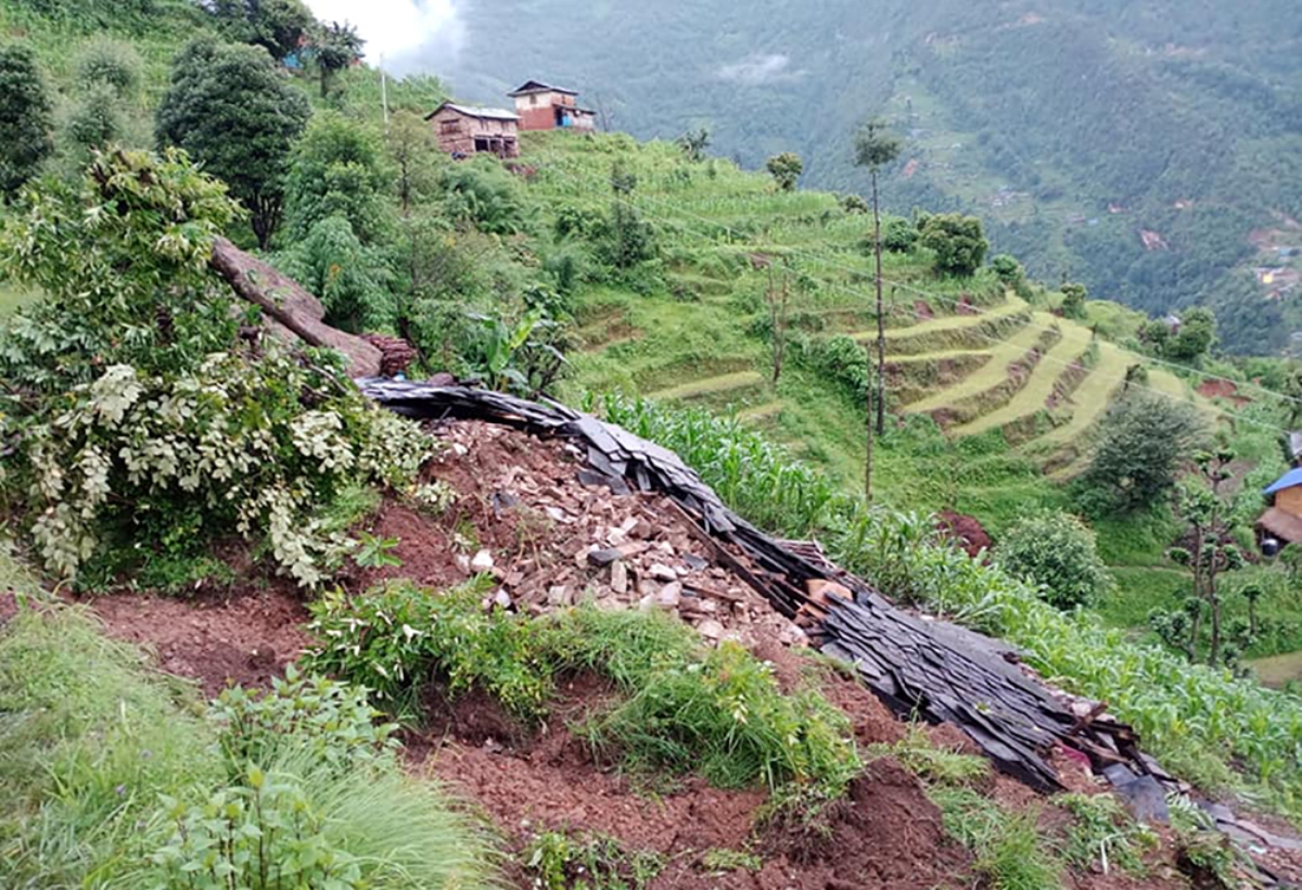 तारखोलामा बाढीले बगाउँदा एक युवक बेपत्ता, ४१ बाख्रा पुरिए, घुस्मेली बजार जोखिममा