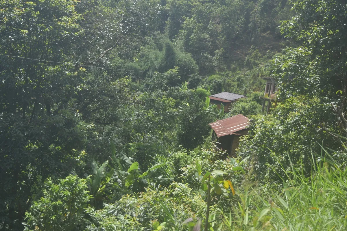 पहिरोको त्रासले गाउँ छोड्न बाध्य, रित्तियो गाउँ