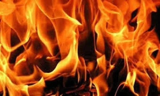 वेलिङ्टनको छात्राबासमा आगलागी हुँदा कम्तिमा ६ जनाको मृत्यु