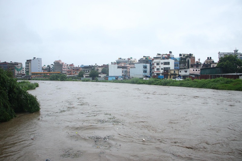 देशका धेरै ठाउँमा वर्षा, यी हुन् बाढीकाे जाेखिम भएका नदी तथा खोला