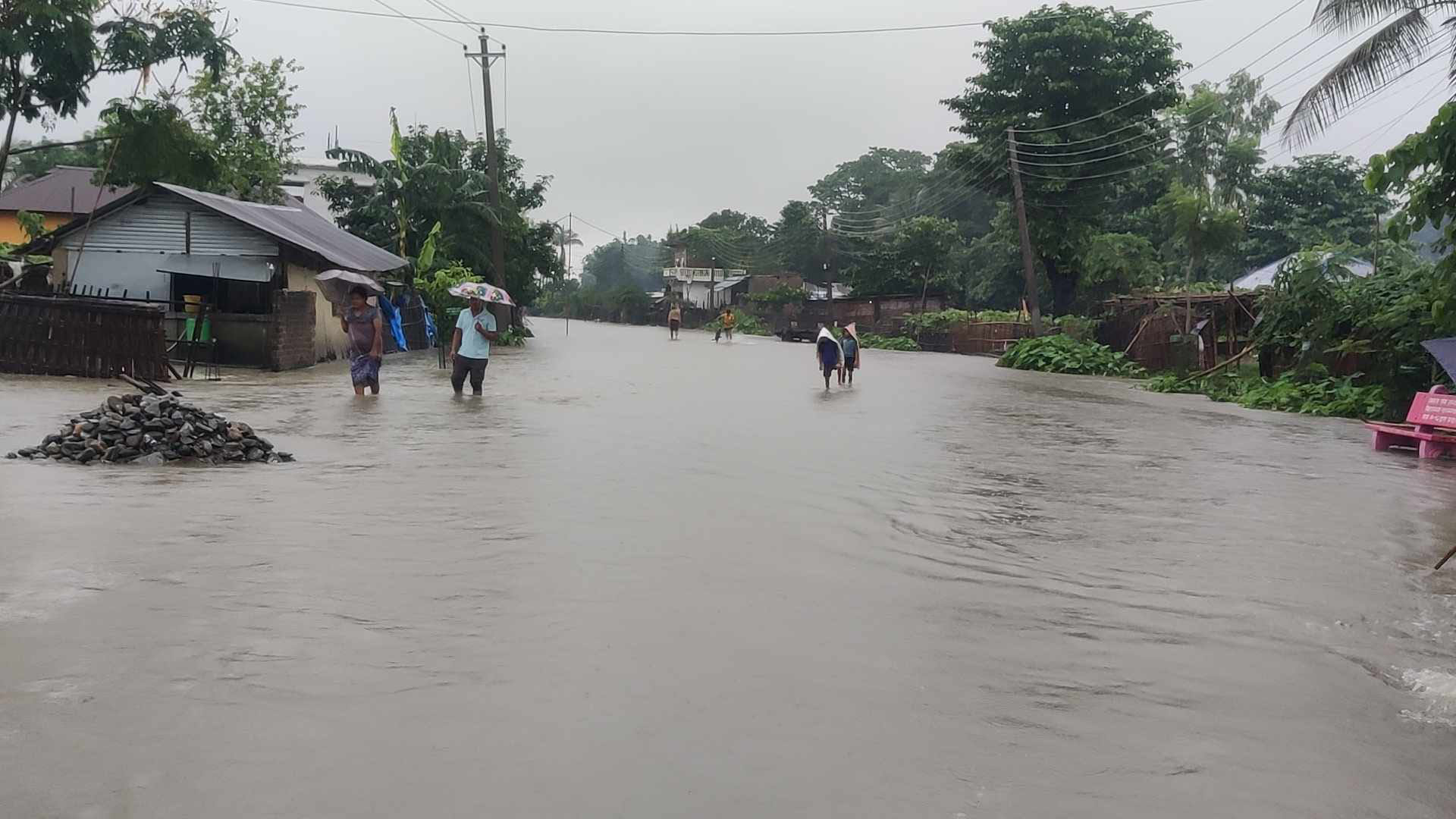 वर्षाले विराटनगरका बस्ती जलमग्न