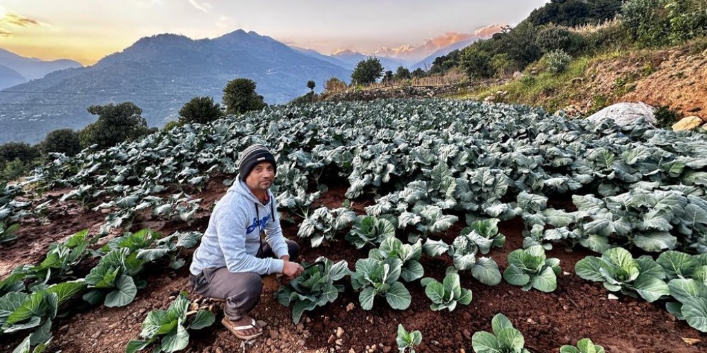 तीन दशकपछि गाउँ फर्किएर तरकारी खेती, बाँझिएको जमिन भयो हराभरा